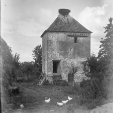 duiventoren